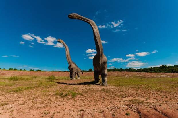 Раскрыт способ ходьбы гигантских длинношеих динозавров