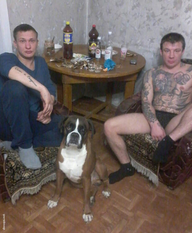 чудики из сети
