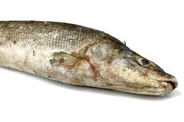 Северный деликатес муксун свежемороженый