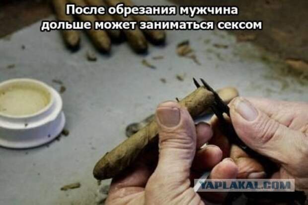 http://s00.yaplakal.com/pics/pics_original/2/6/5/182562.jpg