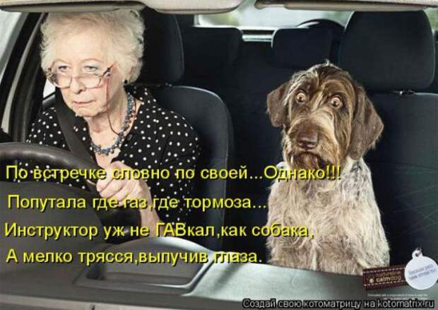 Котоматрицы(картинки с надписями)