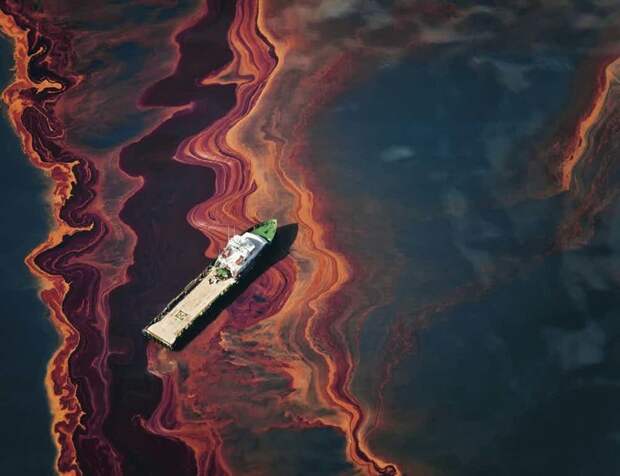 Разлив нефти в Персидском заливе природа, человек, экологические бедствия