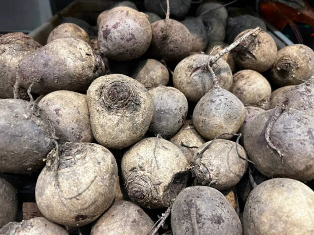 Полили грядку подсоленной водичкой дважды за лето — и свекла трещит от сладости: 3 хитрости