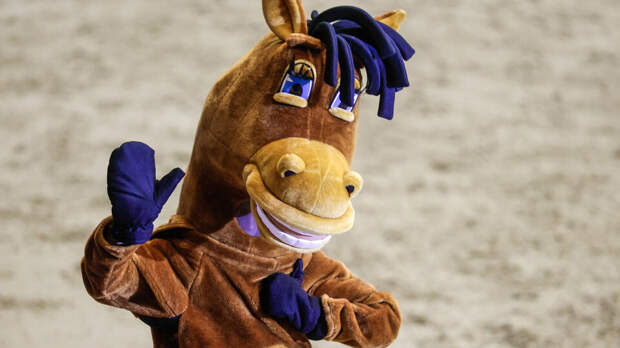 "Лошадь" и "зебра" вскрыли проблемы с наймом нелегалов в Шерегеше