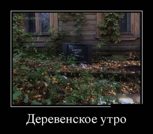 Демотиваторы демотиваторы, прикол, юмор