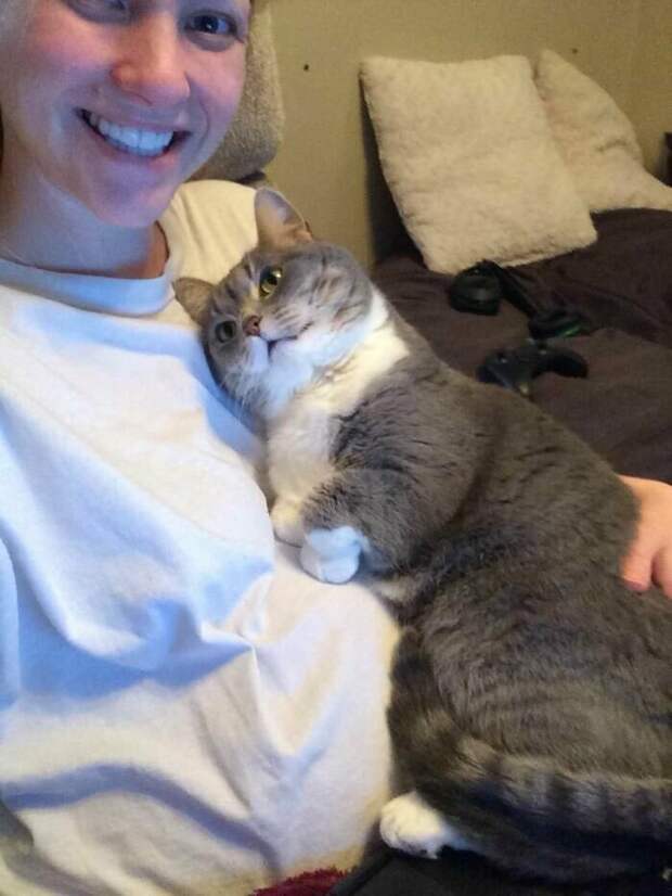 Котики, которые так и притягивают внимание к себе Котики, которые так и притягивают внимание к себе
