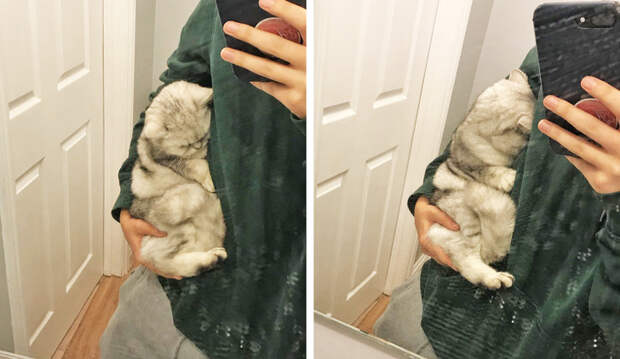 26 фотографий, которые легко дадут фору антидепрессантам