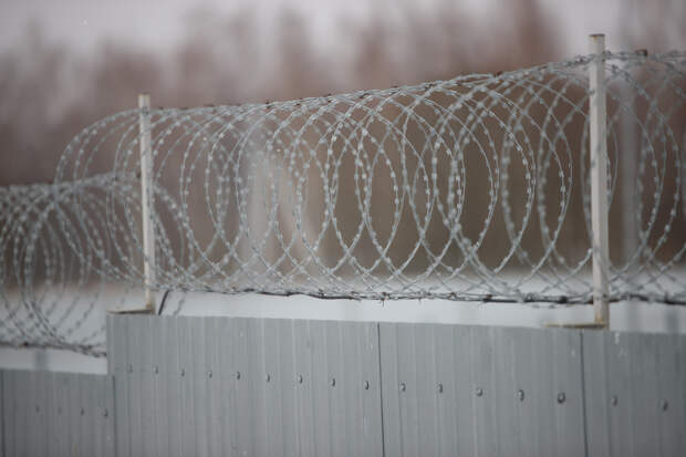 За 2025 год в Тульской области вышли на свободу более трёх тысяч заключённых