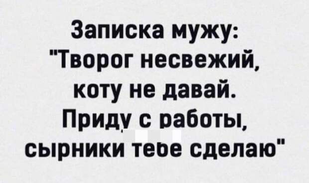 Лучшие шутки и мемы из Сети