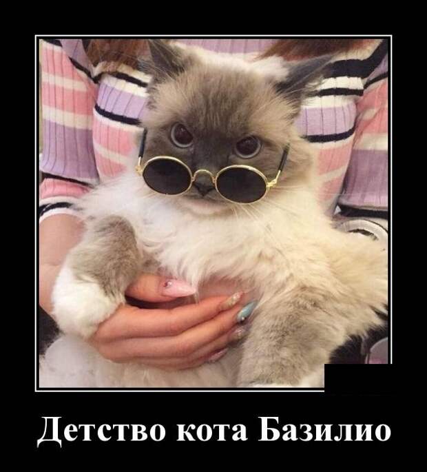 www.vsyako.net