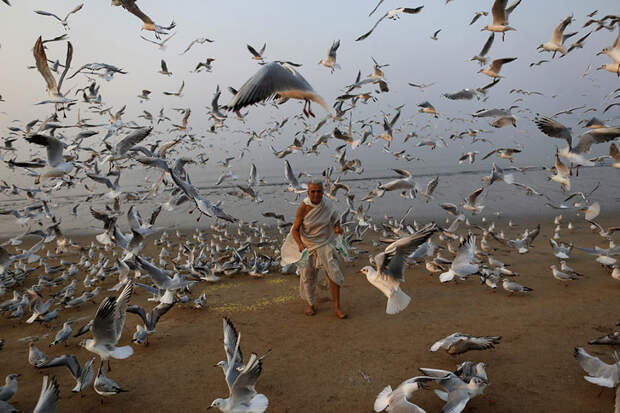 best-reuters-photos-2016-60-585796607c34d__880