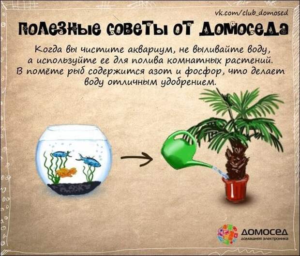 Полезные советы по дому (19 фото)