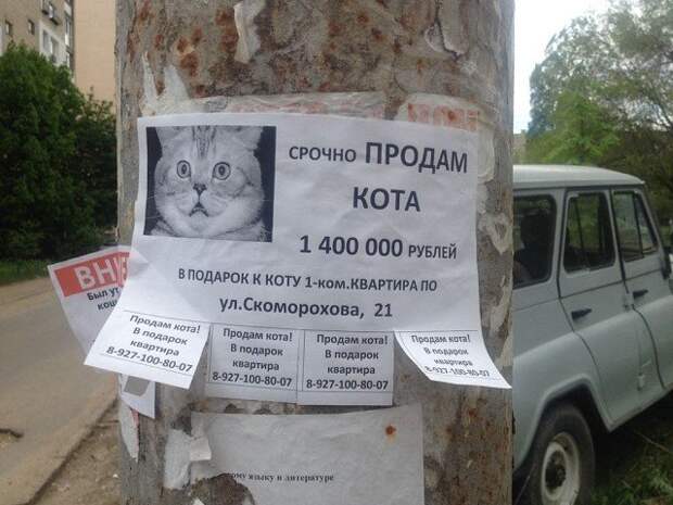 Рекламщик уровня Бог Рекламщик уровня Бог