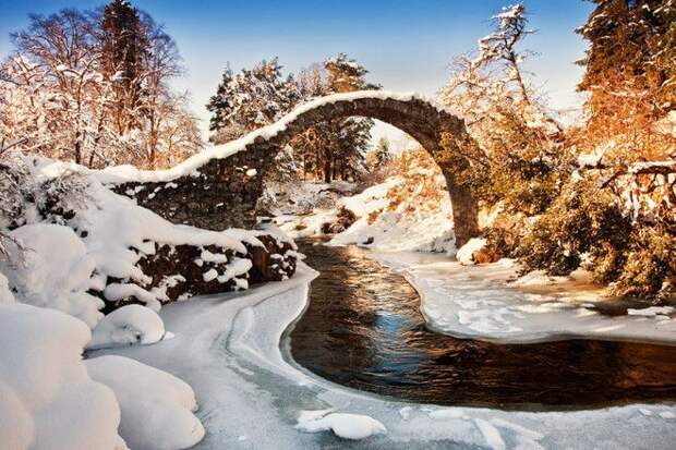 15 удивительных мостов в которых застыли природа и время