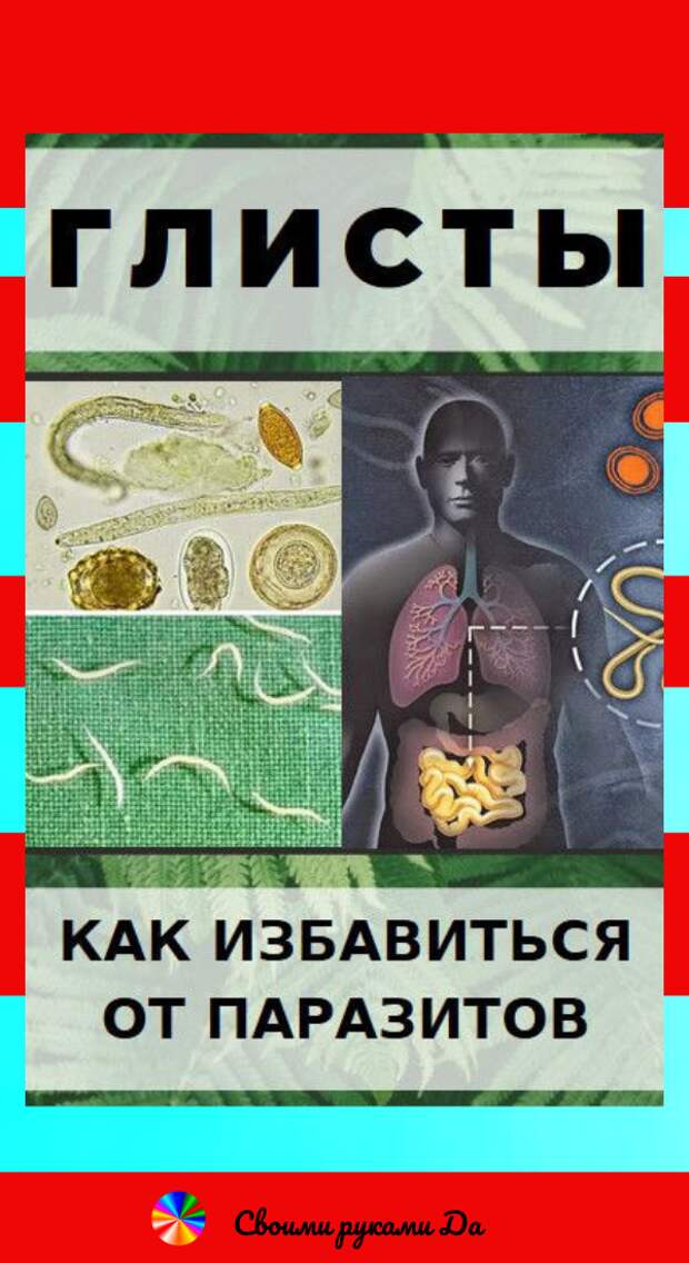 Глисты: Как избавиться от паразитов без таблеток в домашних условиях