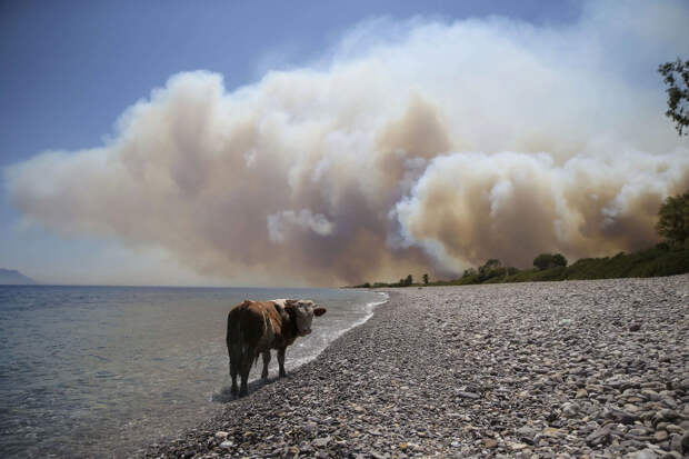 Дым от пожара в Бодруме, Турция