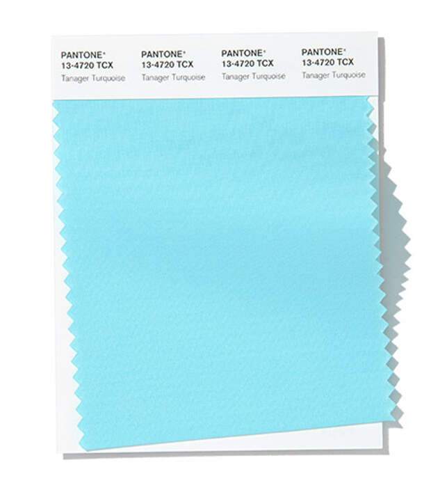 Tanager Turquoise cools with its soothing presence.
