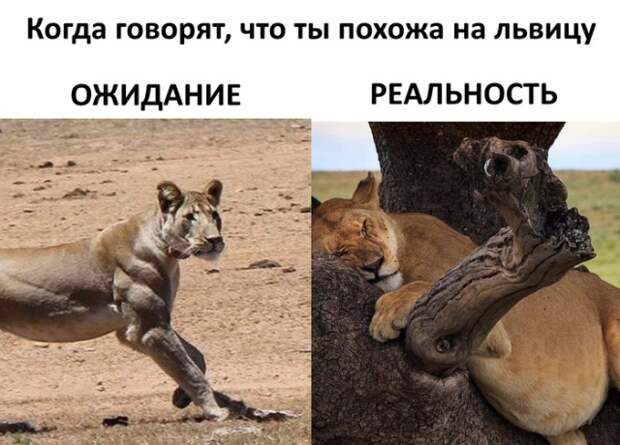Подборка картинок. Дневной выпуск (30 фото)