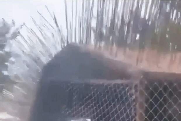 СКРИНШОТ ВИДЕО: ТГ-КАНАЛ "ВОЕННЫЙ ОСВЕДОМИТЕЛЬ"