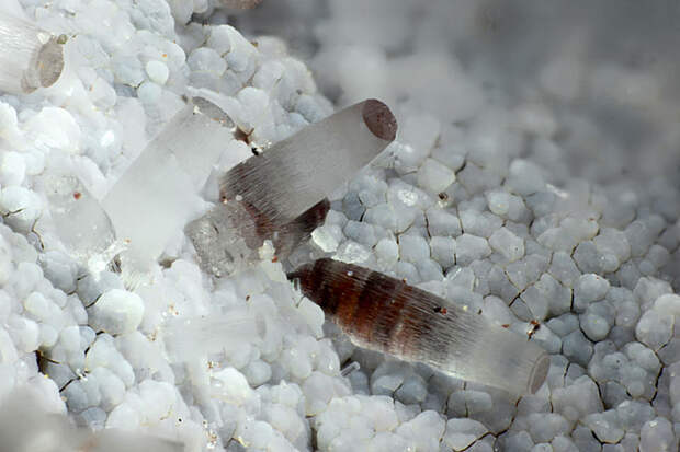 Erionite