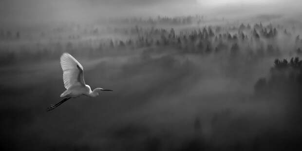 Фотография: Словения с высоты птичьего полета №12 - BigPicture.ru