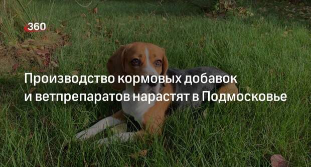 Производство кормовых добавок и ветпрепаратов нарастят в Подмосковье
