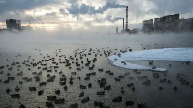 Синоптики предупредили об аномальных морозах до -35 °С в Центральной России