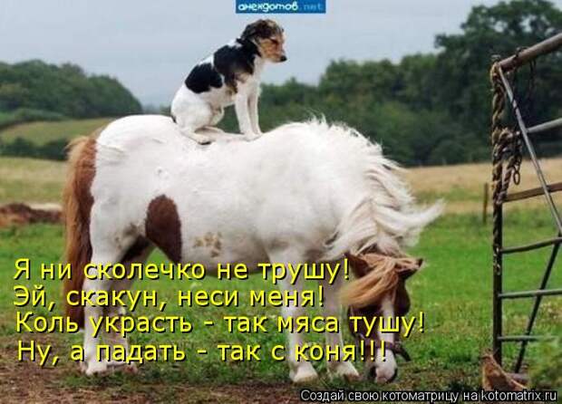 Animals Riding Animals - Фишки.нет