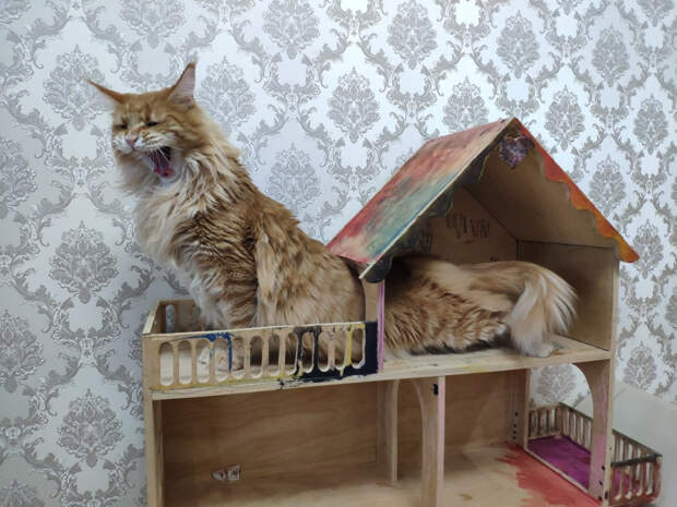 красивые картинки