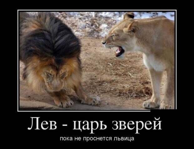 Демотиваторы (30 фото)