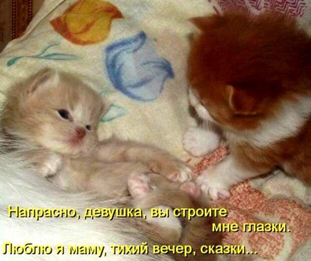 9dc402cf402718b0c50f492285f_prev