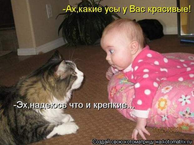 Котоматрицы (картинки с надписями)