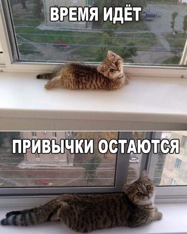 Позитивные и прикольные картинки с надписями со смыслом (11 фото) Позитивные и прикольные картинки с надписями со смыслом (11 фото)