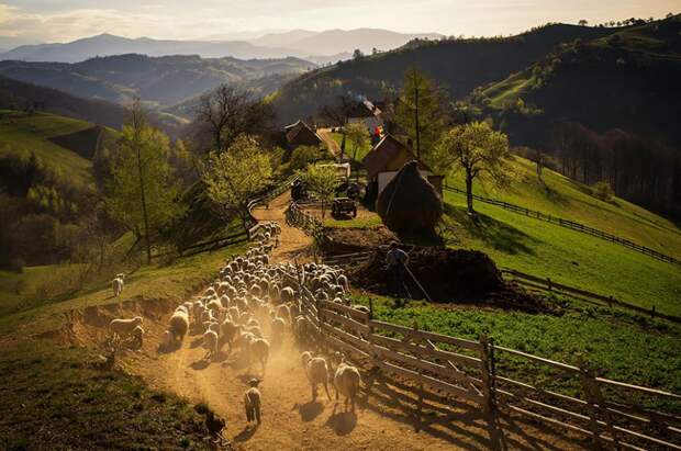 22 веских повода съездить в Румынию румыния, красота, природа, в мире