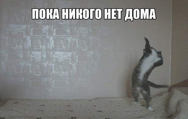 Похожее изображение
