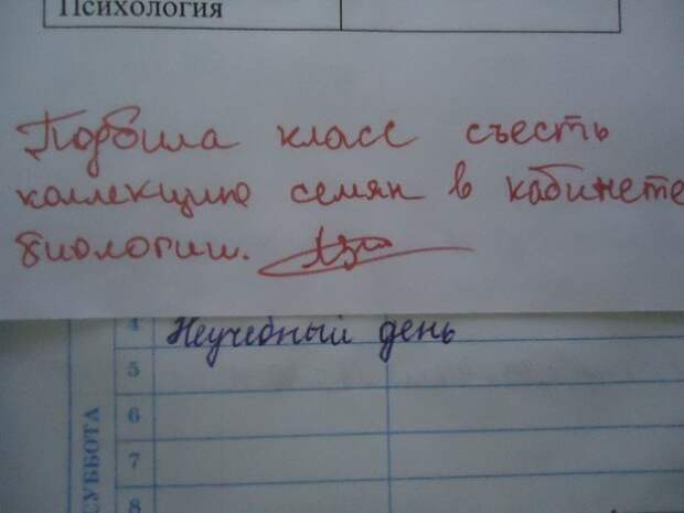 Безумно смешные записи учителей в школьных дневниках! Безумно смешные записи учителей в школьных дневниках!