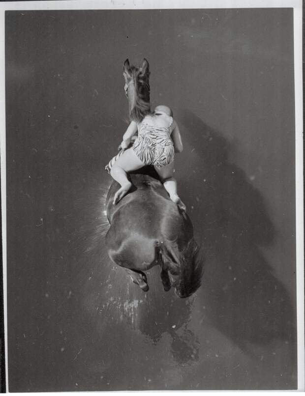 лошадиный дайвинг прыжки в воду на лошадях шоу буффало билла прыжки в воду