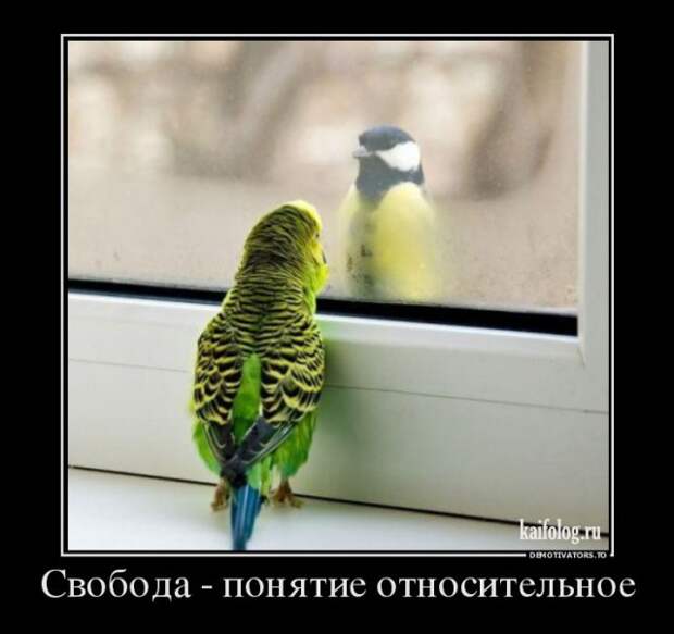 Философские демотиваторы года (55 штук)