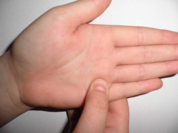 85417294_4387736_Bol_v_plechah (640x480, 140Kb)