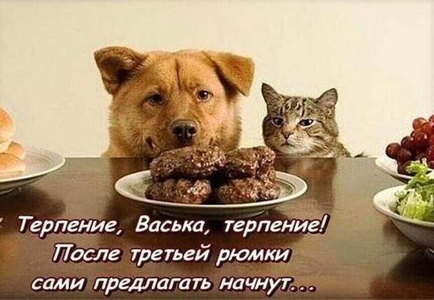 Прикольные до слез свежие мемы (пятница)