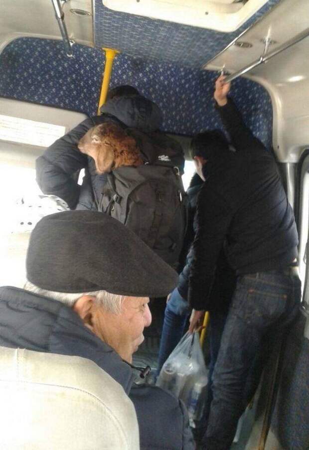 Подборка картинок. Вечерний выпуск (37 фото)
