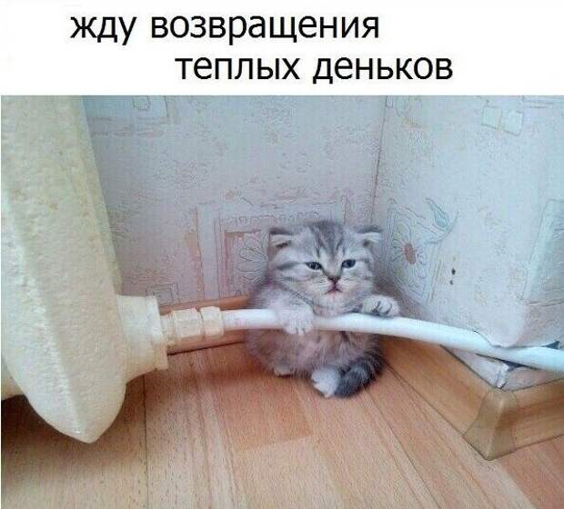 Анекдоты, истории и картинки с надписями