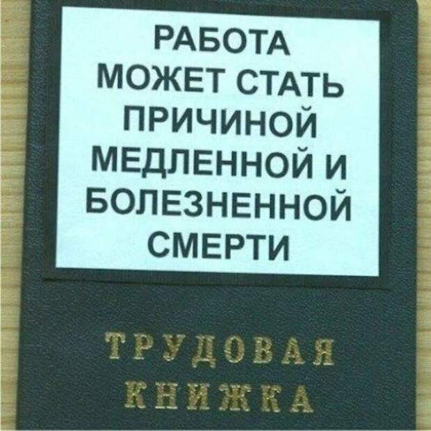 С такими документами в отделе кадров не заскучаешь! С такими документами в отделе кадров не заскучаешь!
