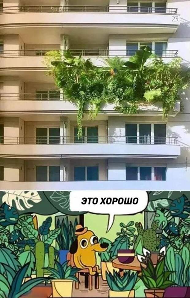 Всякие разные картинки