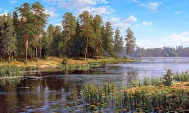картина художника Сергея Басова – 10 художник Сергей Басов картины – 10