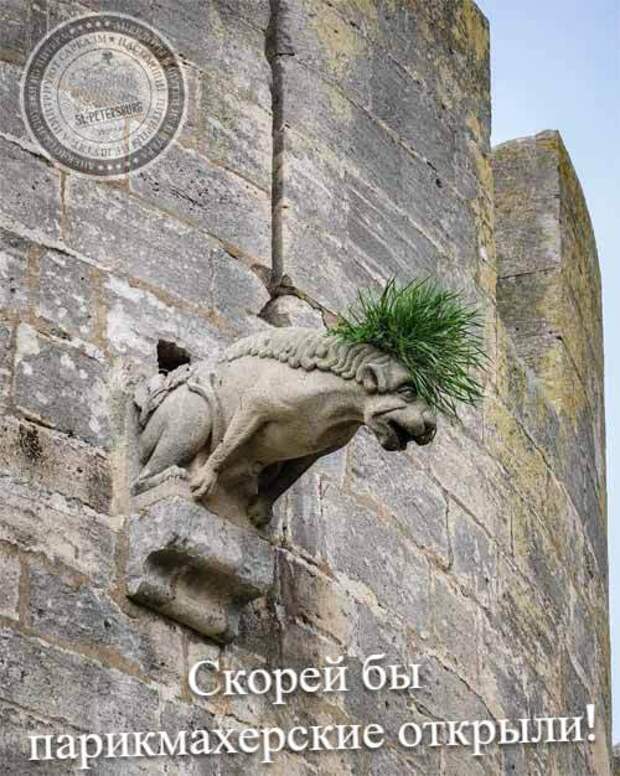 Скорей бы парикмахерские открыли!