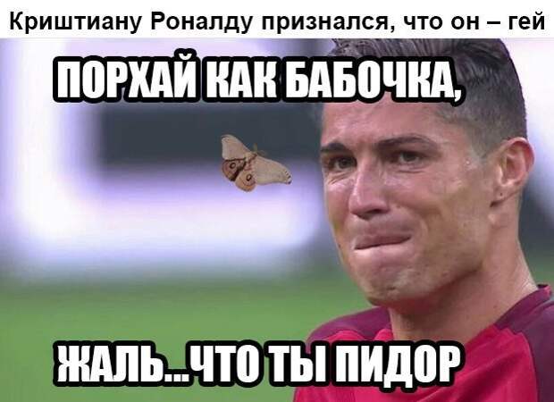 Смешные картинки с надписями прикол, юмор