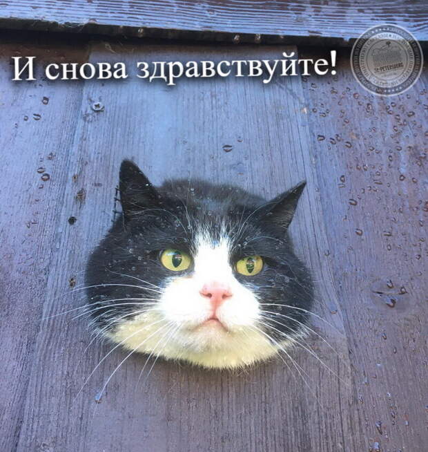 И снова здравствуйте!