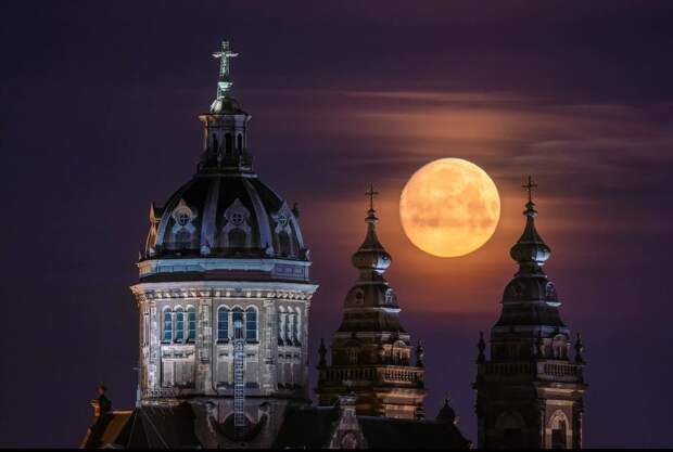 Эти 4 фотографии называют подделкой, но вот объснение, как они сделаны