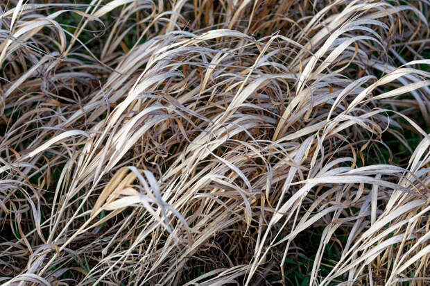 НСА ввел процедуру оперативного реагирования по ЧС в Краснодарском крае